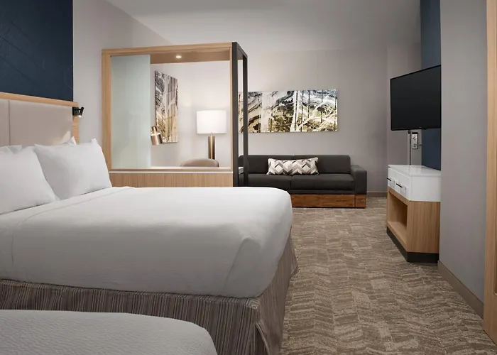 Springhill By Marriott Charleston Airport & Convention Center Hotel