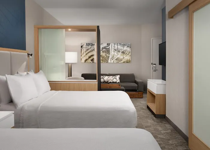 Springhill By Marriott Charleston Airport & Convention Center Hotel
