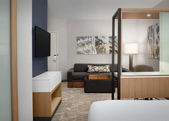Springhill By Marriott Charleston Airport & Convention Center 3* North Charleston