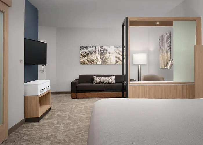 Hotel Springhill By Marriott Charleston Airport & Convention Center