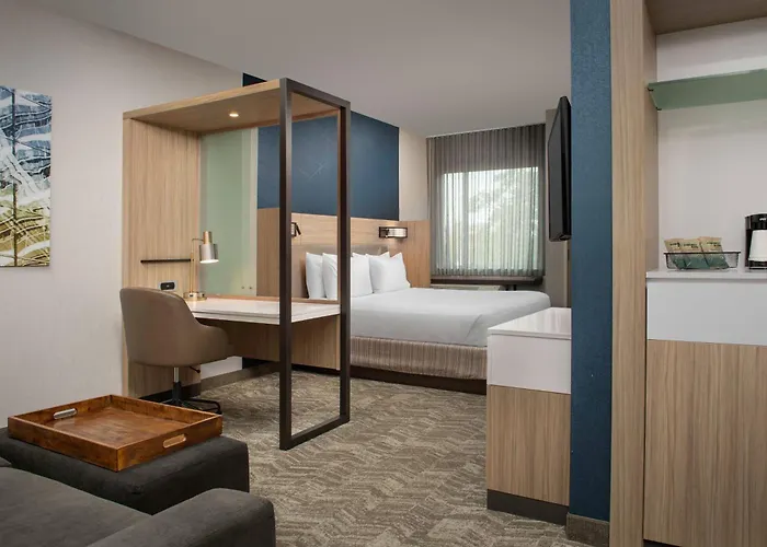 Springhill By Marriott Charleston Airport & Convention Center Hotel North Charleston