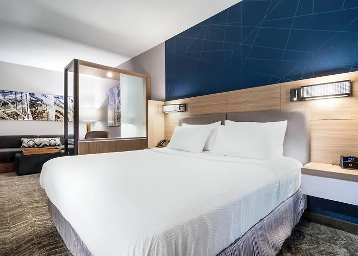 Springhill By Marriott Charleston Airport & Convention Center Hotel