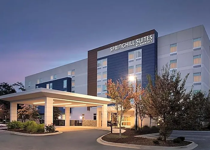 Springhill By Marriott Charleston Airport & Convention Center 3* North Charleston